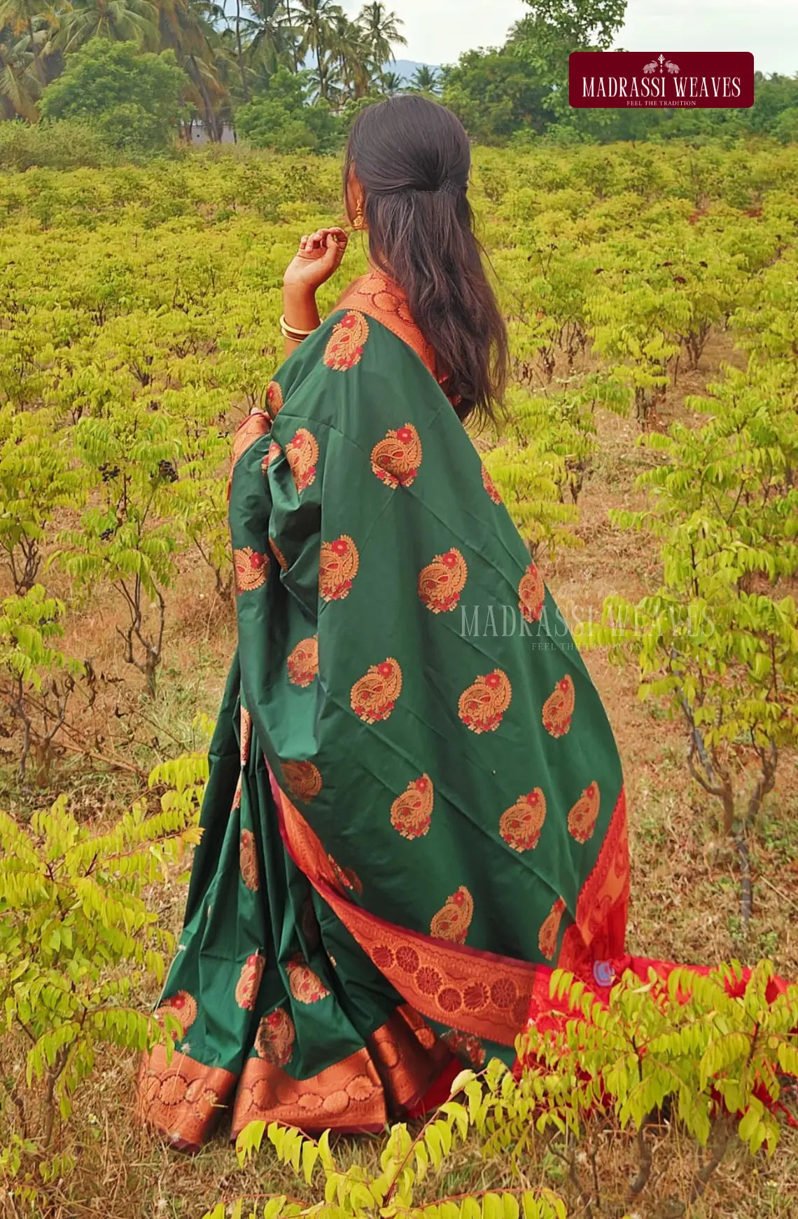 Kanchi Style Soft Silk Saree - Green