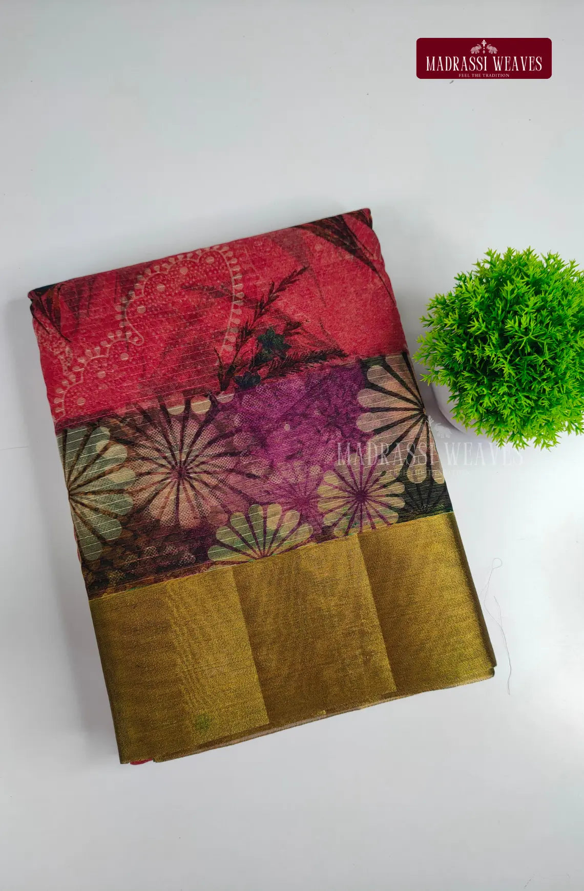 Organza Trendy Saree