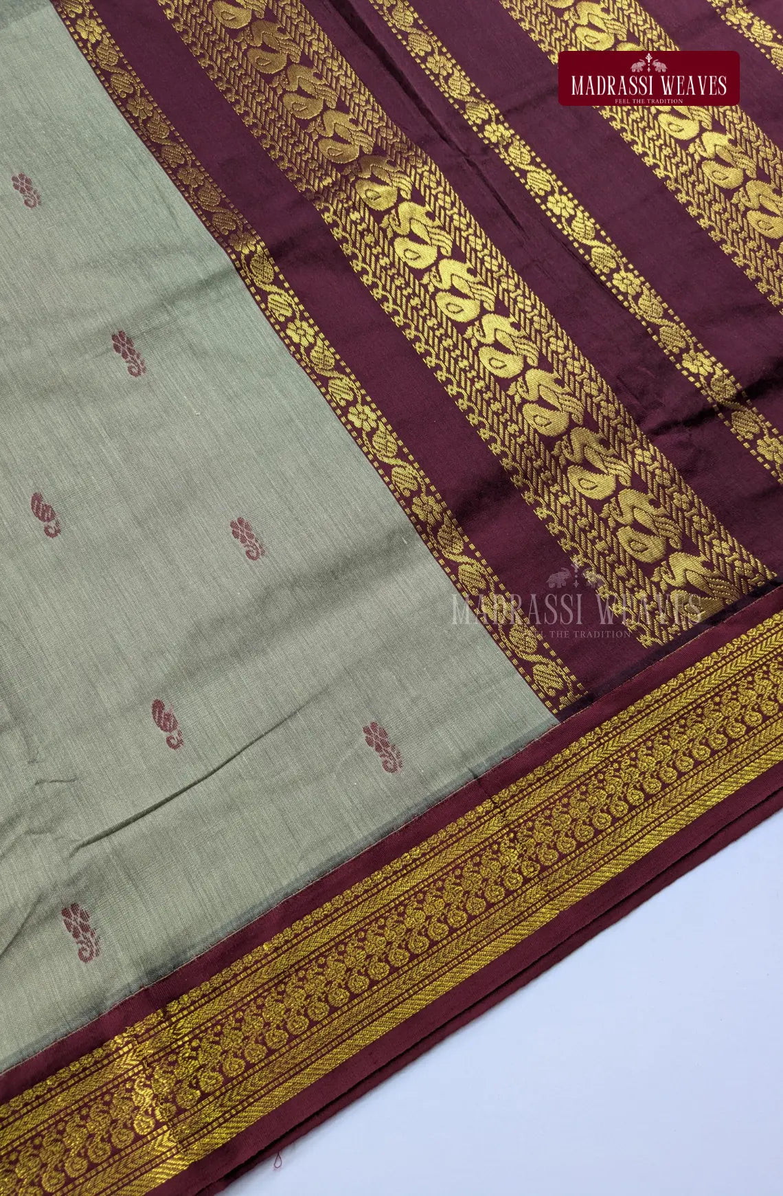 Premium Kalyani Gadwal Cotton Saree - Ivory