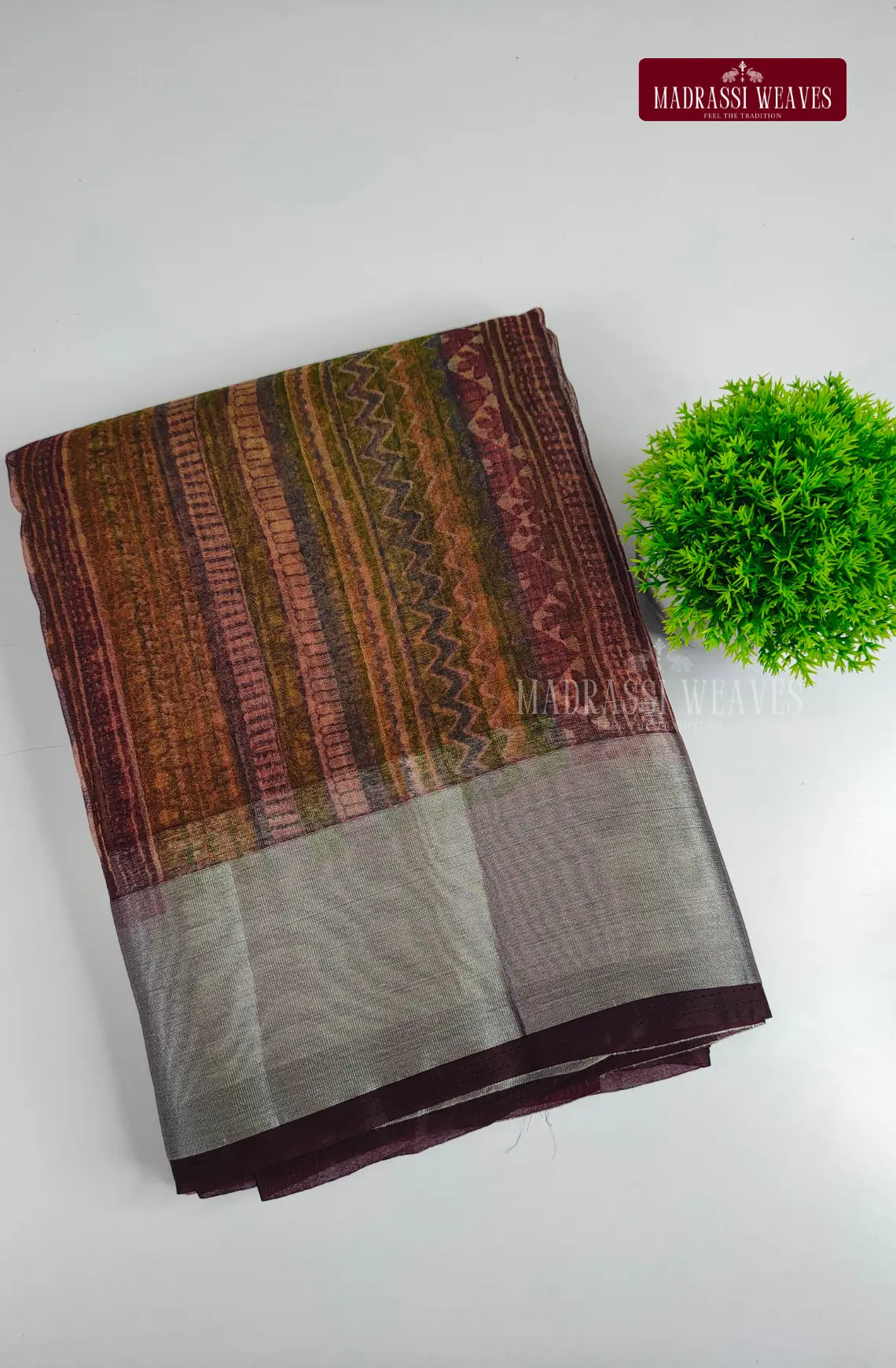Organza Saree with Zari Border