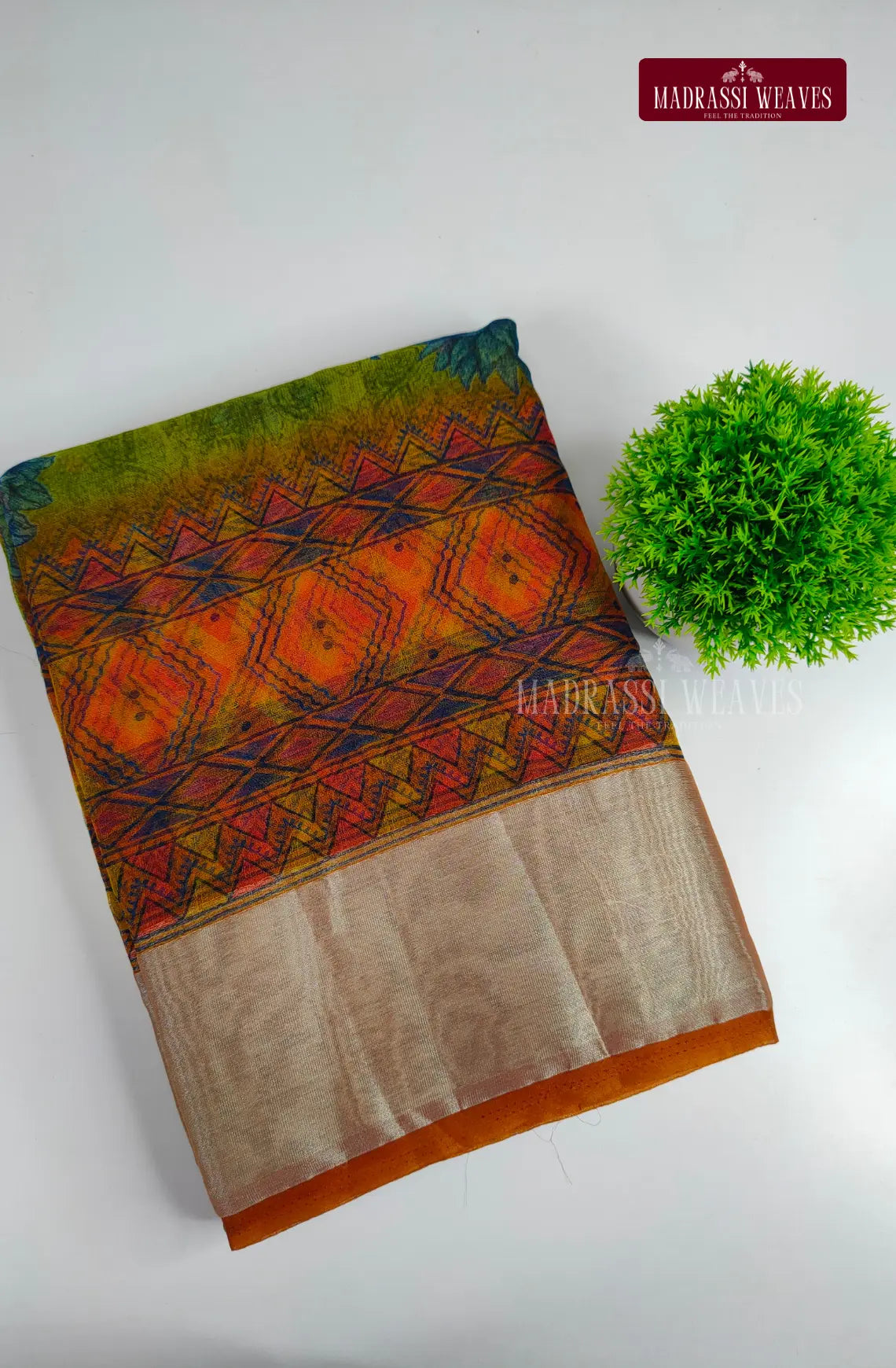 Organza Saree with Zari Border