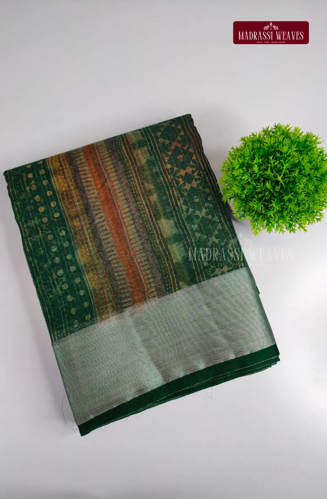 Organza Saree with Zari Border
