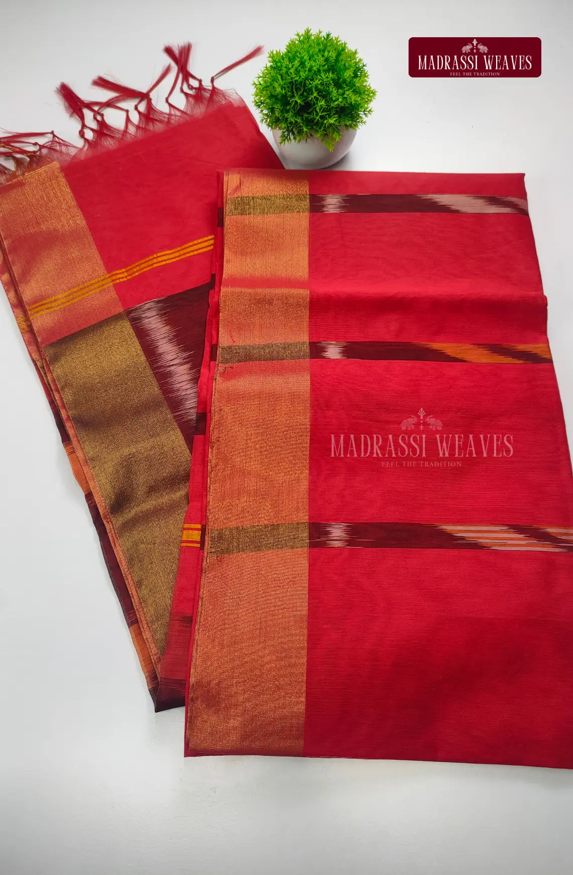 Pochamballi Cotton Saree
